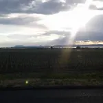 度假居 Stargazer Dome At Balaton *