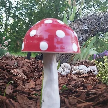 Stargazer Dome At Balaton בית נופש Szolad